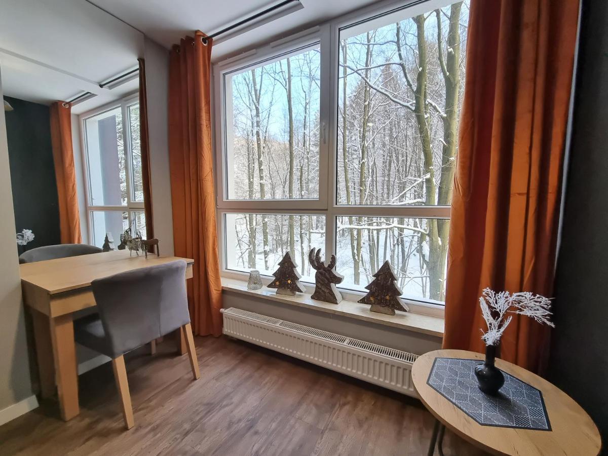 Apartament Spa 10 Resort Kozubnik Blisko Szczyrk - 5D Apartments Porąbka المظهر الخارجي الصورة